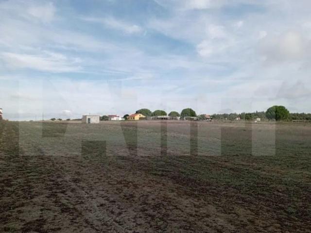 Montijo Montijo 93723352