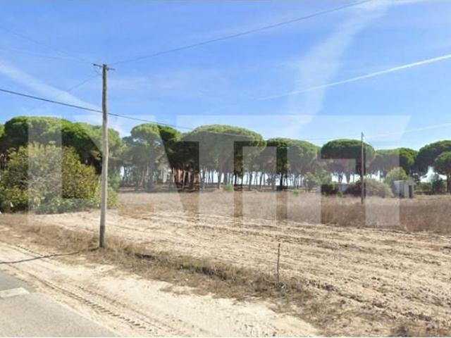 Montijo Montijo 95147855