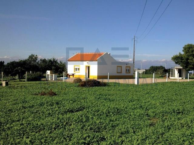 Montijo Montijo 98337806
