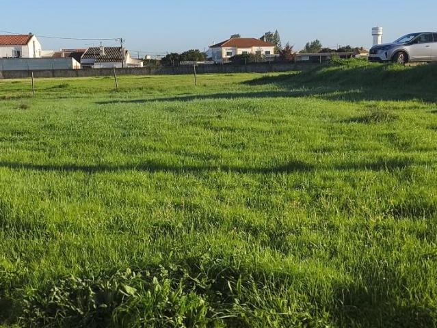 Montijo Montijo 99377029
