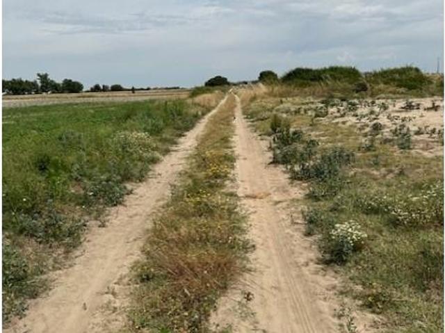 Montijo Montijo LS97121528