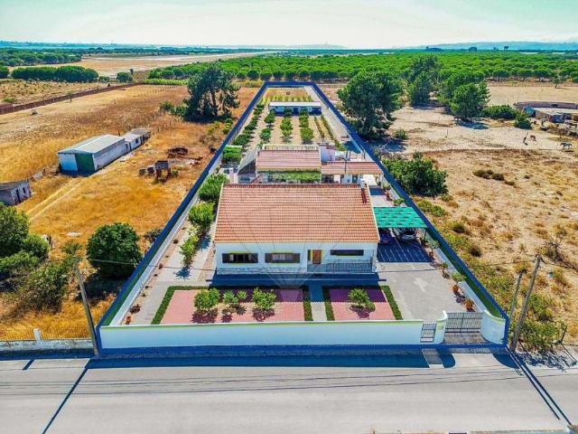 Montijo Setúbal 101727180
