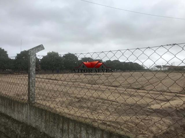 Montijo Setúbal 78784487