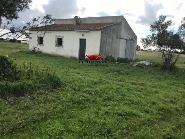 Montijo Setúbal 78784489