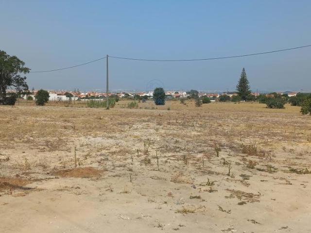 Montijo Setúbal 88914929