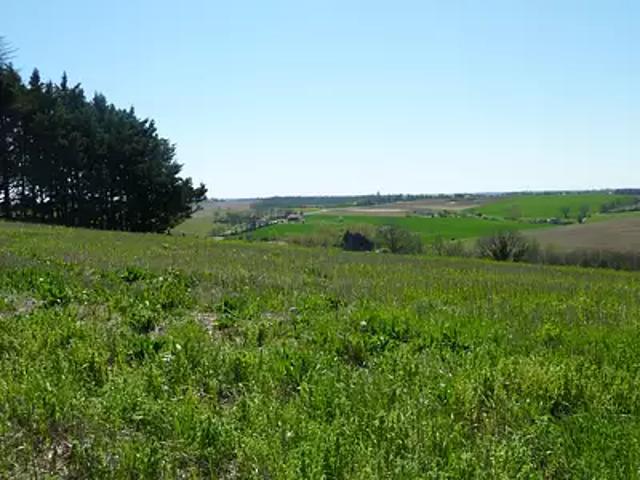 Montjoire 31380 Programme neuf terrain neuf à vendre