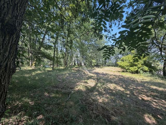 Montjoire Vente Terrain 31