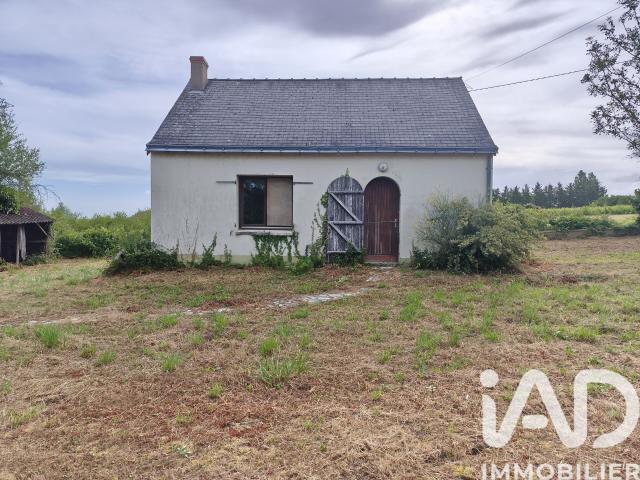 Montjean sur Loire Vente Maison 49
