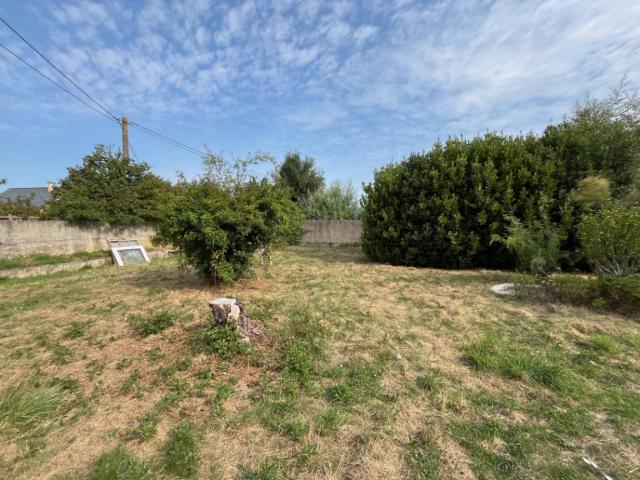 Montjean sur Loire Vente Terrain 49