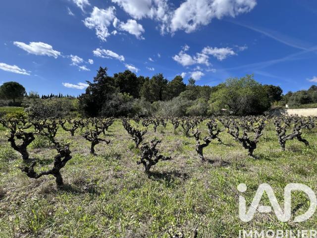 Montouliers Vente Terrain 34