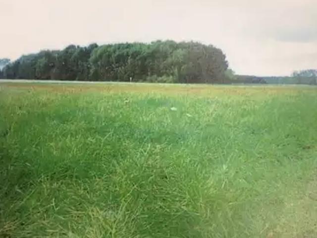 Montlouis sur Loire 37270 Programme neuf terrain neuf à vendre