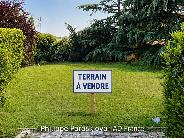 Montluel Vente Terrain 01