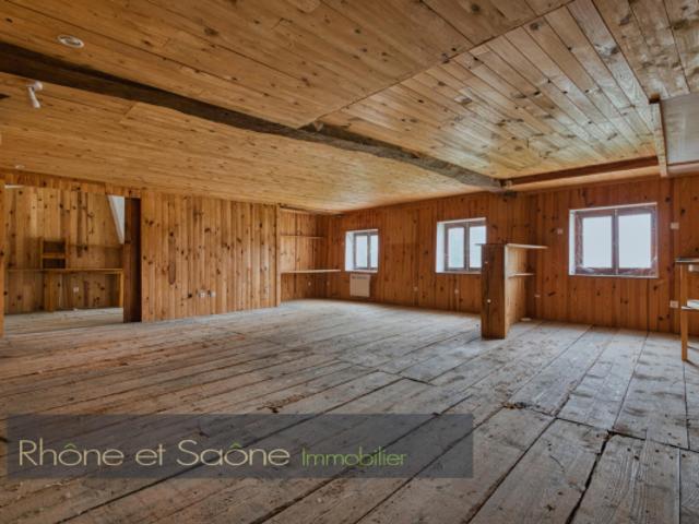 MONTMERLE SUR SAÔNE, appartement à vendre, 3 pièces, 60 m²