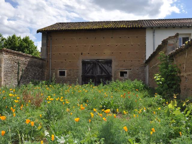 Montmerle sur Saône Vente Maison 01