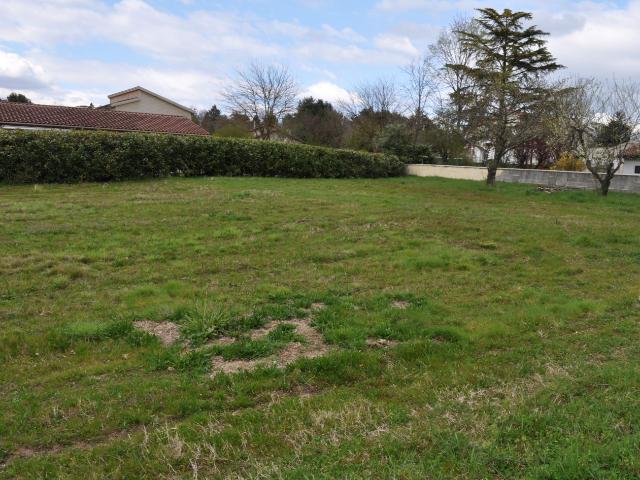 Montmerle sur Saône Vente Terrain 01