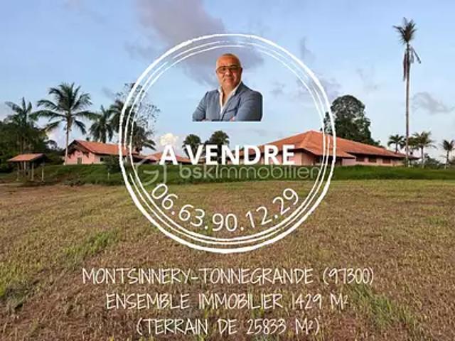Montsinéry Tonnegrande 97356 Achat / Vente immeuble