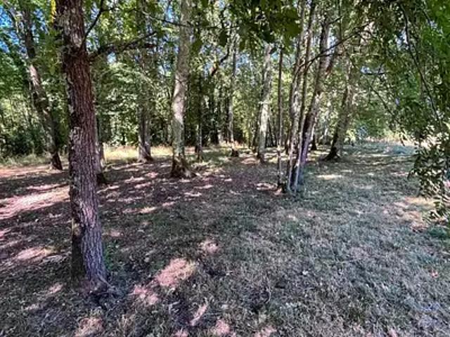 Montpon Ménestérol 24700 Achat / Vente maison 3 pièces t3 au dernier étage