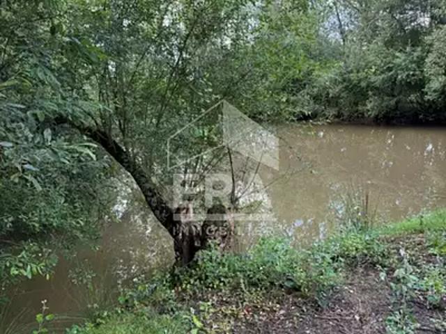 Saint Seurin sur l'Isle 33660 Achat / Vente terrain