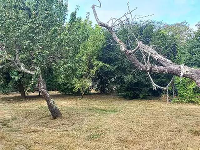 Montpon Ménestérol 24700 Programme neuf terrain neuf à vendre