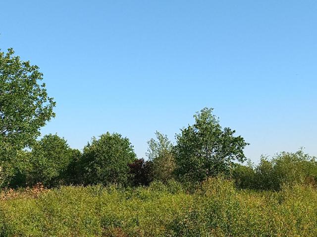Montpon Ménestérol Vente Terrain 24
