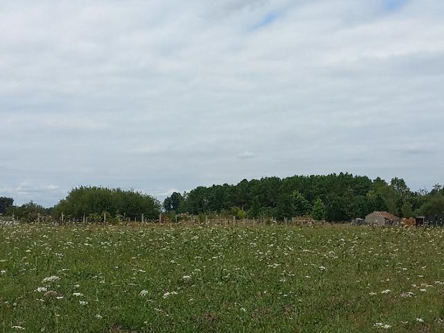 Montpon Ménestérol Vente Terrain 24