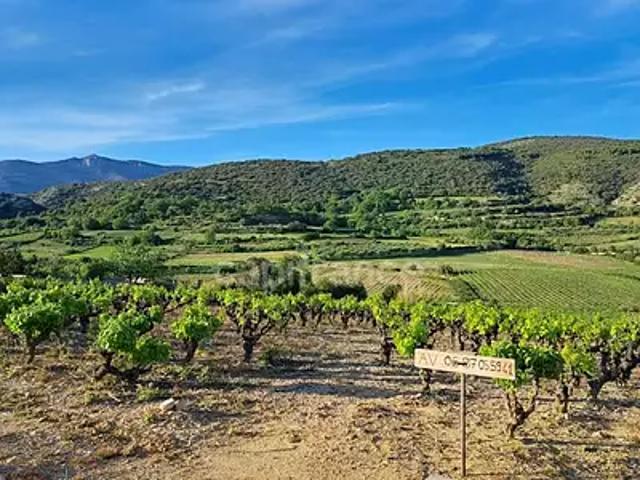 Montpeyroux 34150 Achat / Vente terrain