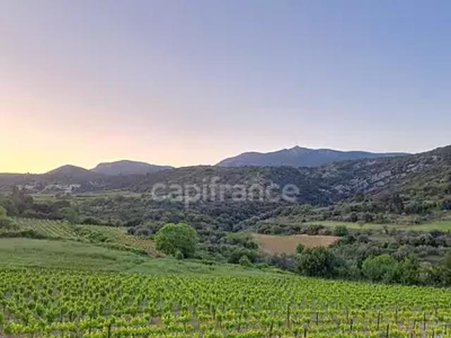 Montpeyroux 34150 Achat / Vente terrain