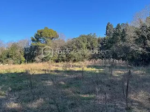 Montpellier 34090 Achat / Vente terrain