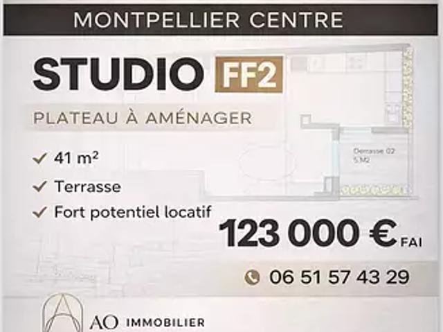 Montpellier 34000 Achat / Vente appartement 1 pièce t1 au dernier étage terrasse