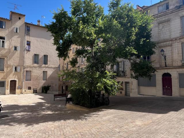 Montpellier Vente Appartement 34