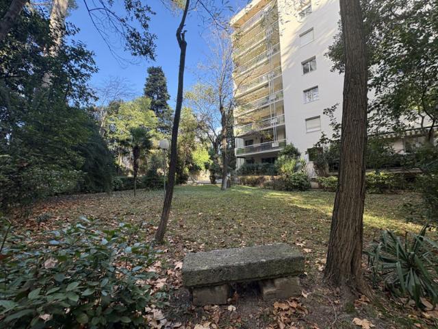 Montpellier A Saisir, agriculture, cliniqueclémentville