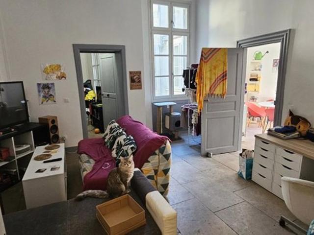 MONTPELLIER / CENTRE VILLE