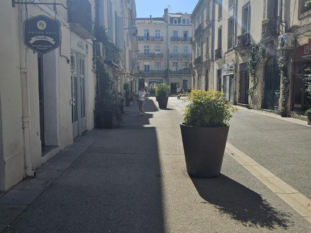 Montpellier centre ville, local commercial de 176,33 m2