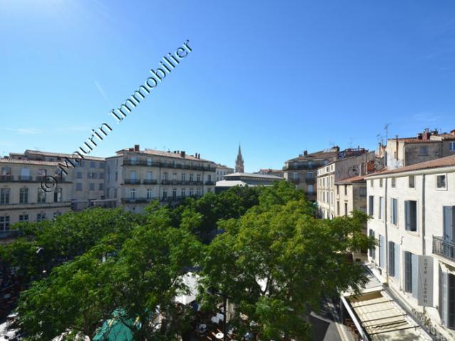 MONTPELLIER SPECIAL INVESTISSEURS JEAN JAURES