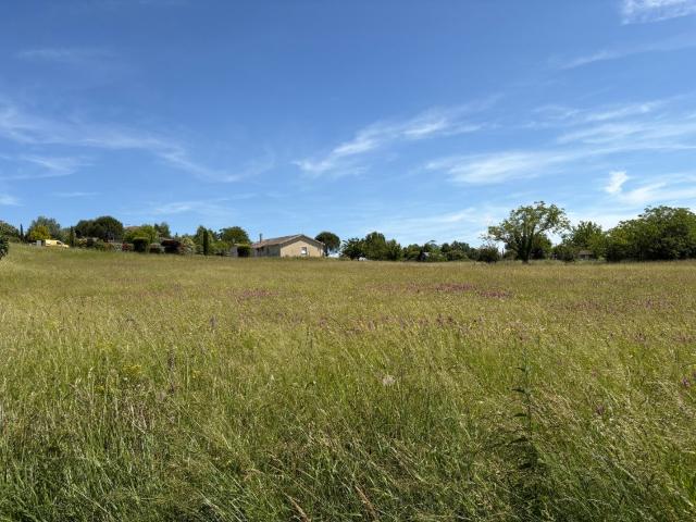 Montpitol Vente Terrain 31