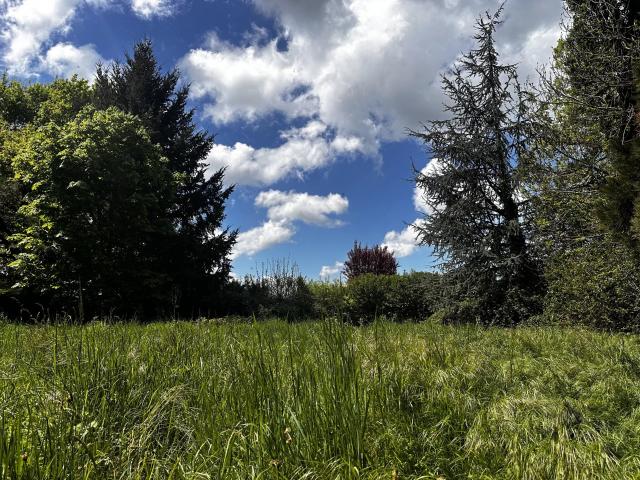 Montrond les Bains Vente Terrain 42