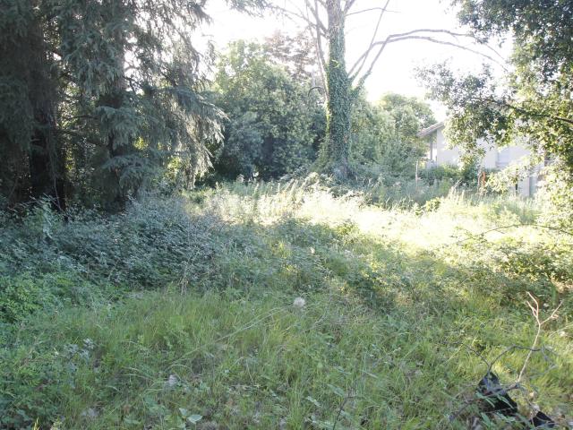 Montrabé Vente Terrain 31