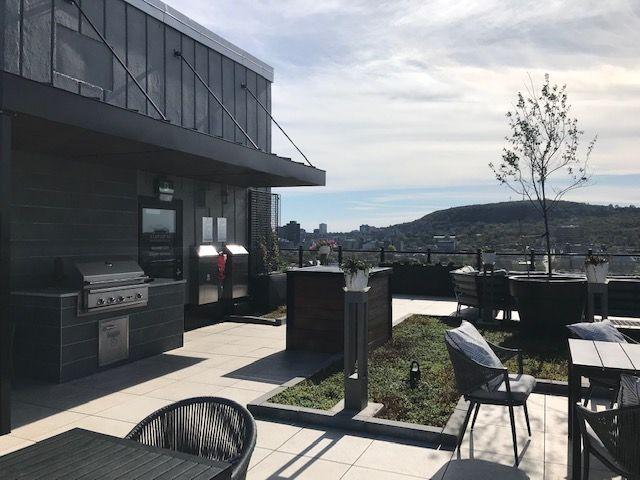 Montréal – Appartement 3 1/2 à louer – Plateau Mont Royal – Parc La Fontaine – Piscine – Terrasse – Gym