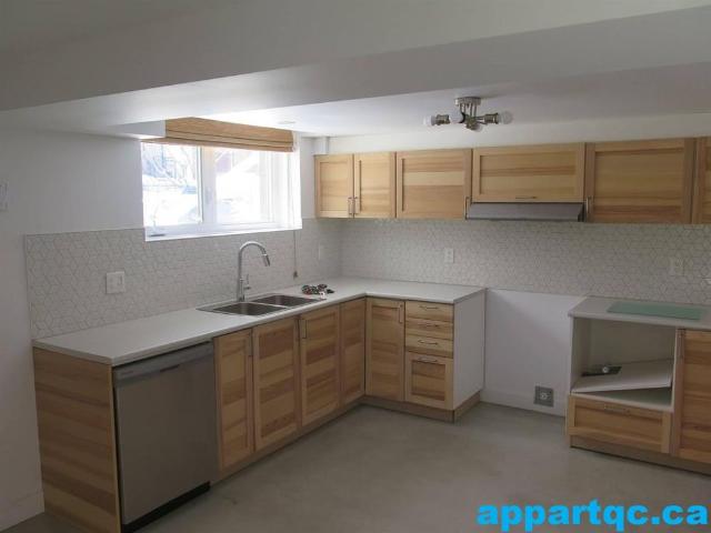 Montréal Est – Rosemont – Superbe appartement 6 1/2 rénové à louer – Moderne – Très grand – Rez de jardin