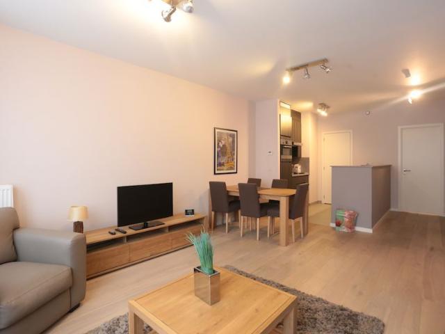 ᐅ Montréal – Plateau Mont royal – Magnifique logement 3 1/2 à louer – Entièrement meublé – Animaux acceptés