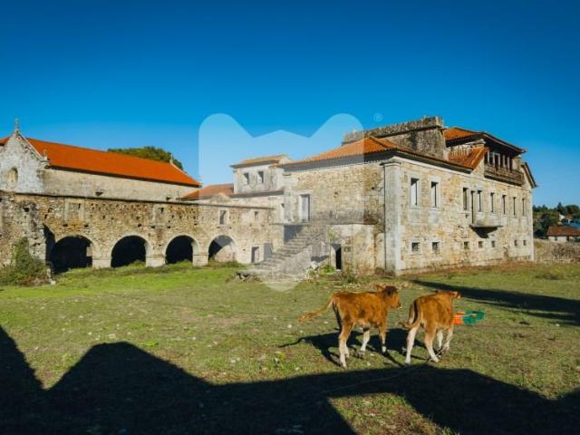 Monção Monção 96001462