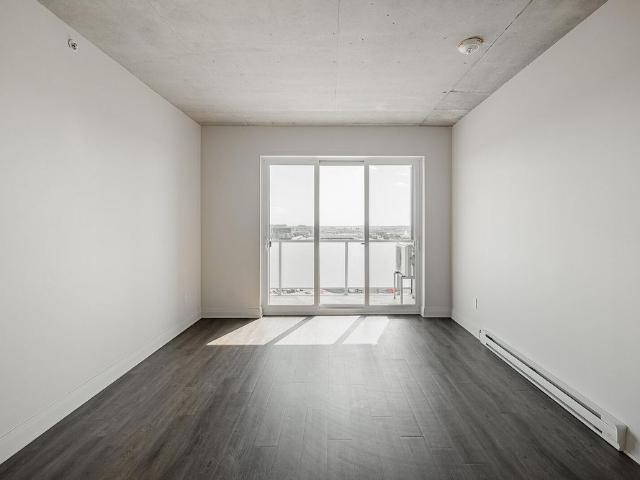 Monarc Collection