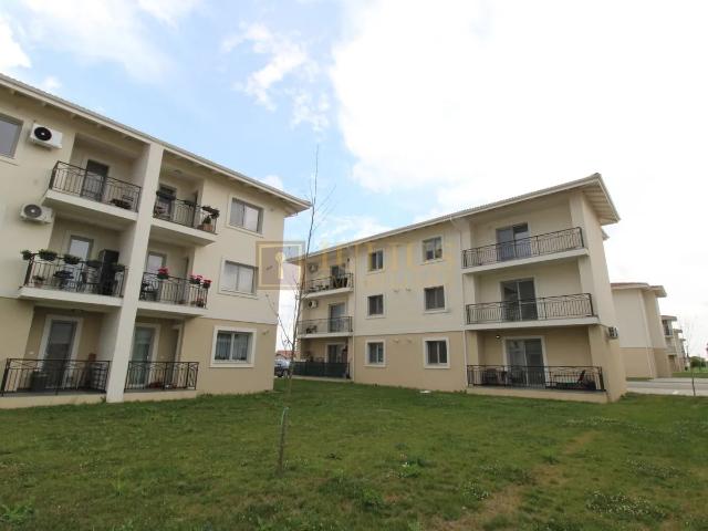 Monarch Village  Mosnita Noua, 2 locuri de parcare