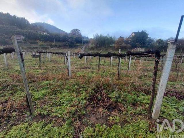 Moncao Viana Do Castelo 98799639