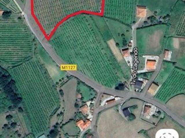 Moncao Viana Do Castelo 99028312