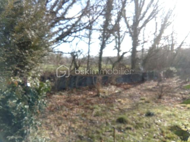 Monceaux Vente Terrain 60