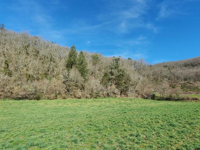 Monceaux sur Dordogne Vente Terrain 19