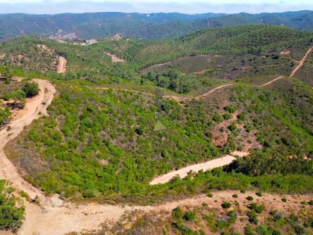 Monchique Algarve 85572491