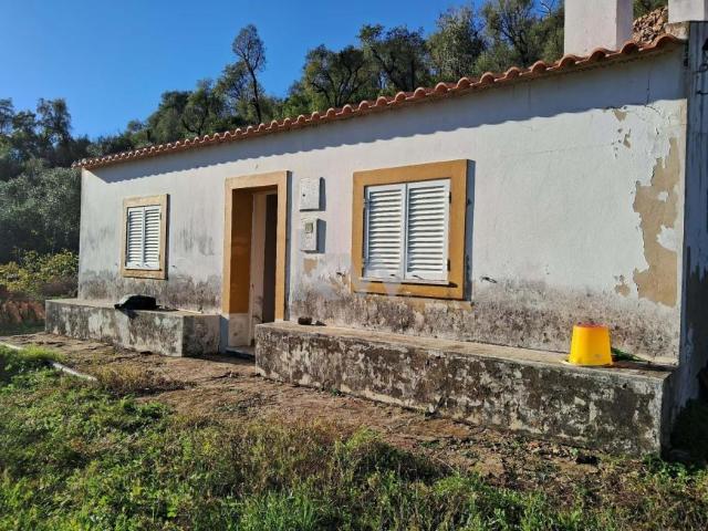 Monchique Algarve 90553872