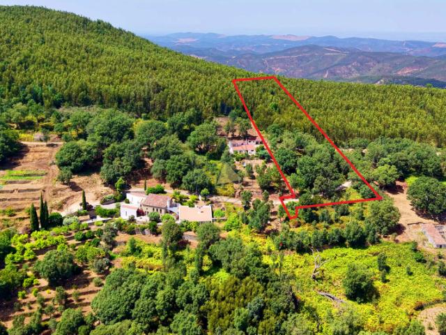 Monchique Algarve 93982742
